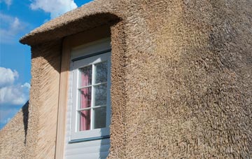 Tircanol thatch roof disadvantages