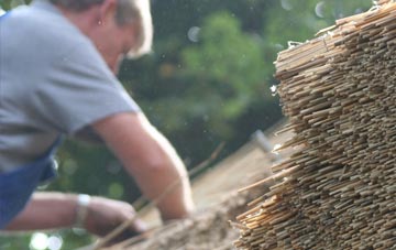 professional Tircanol thatchers