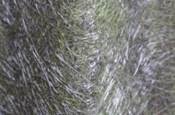 Tircanol fibreglass roof work